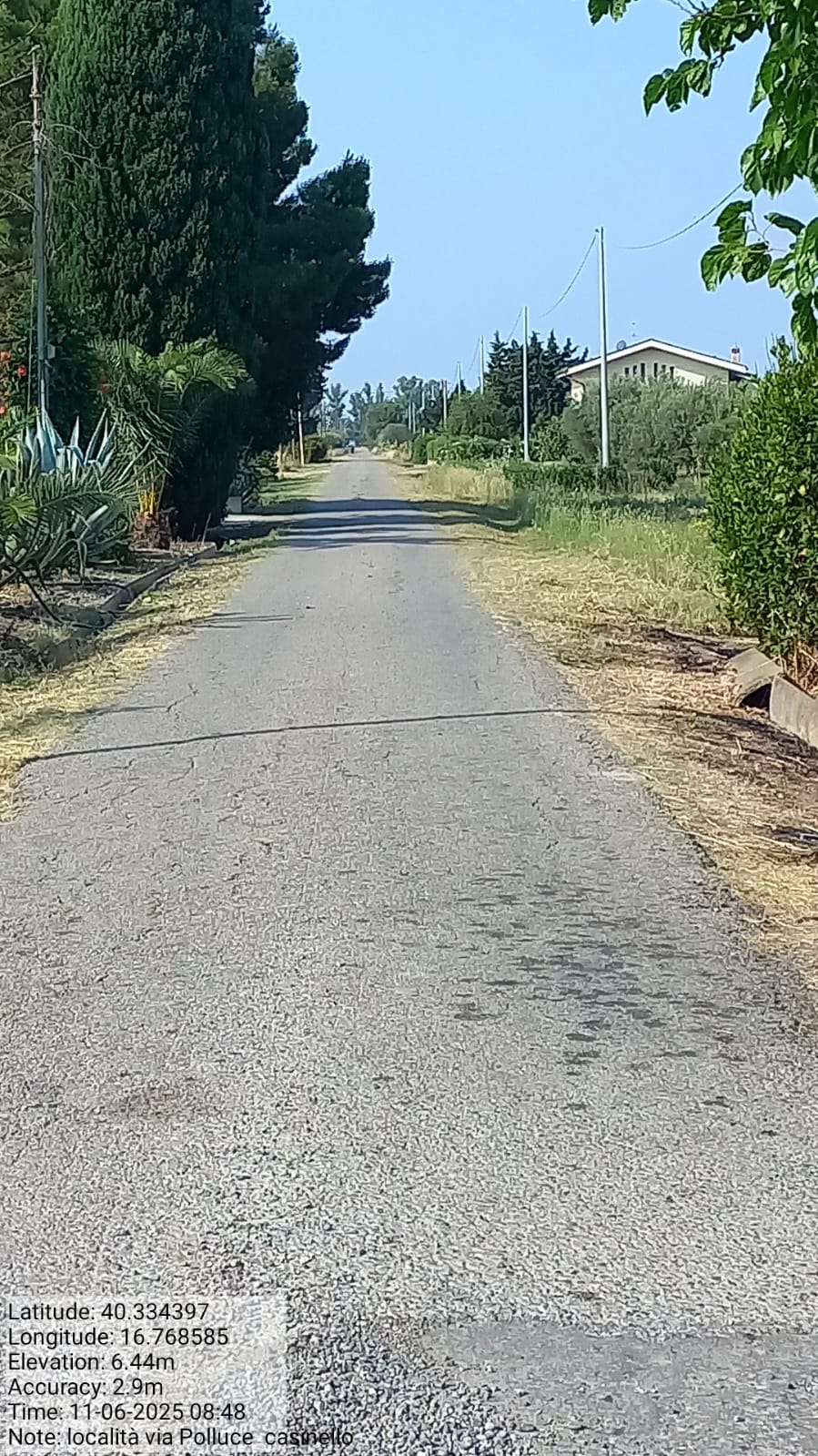 Galleria Fotografica Immagine