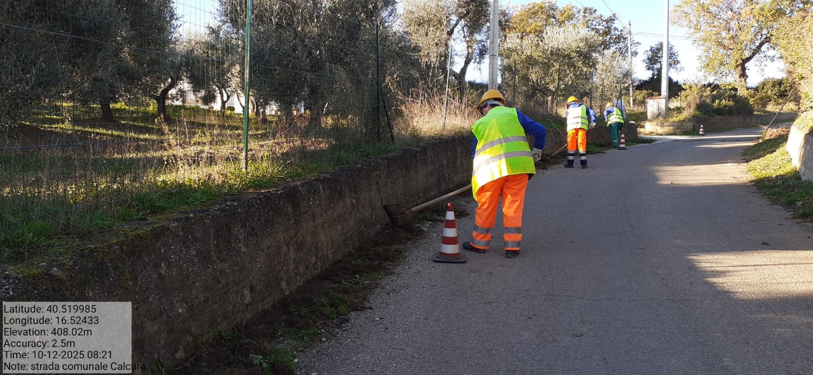 Galleria Fotografica Immagine