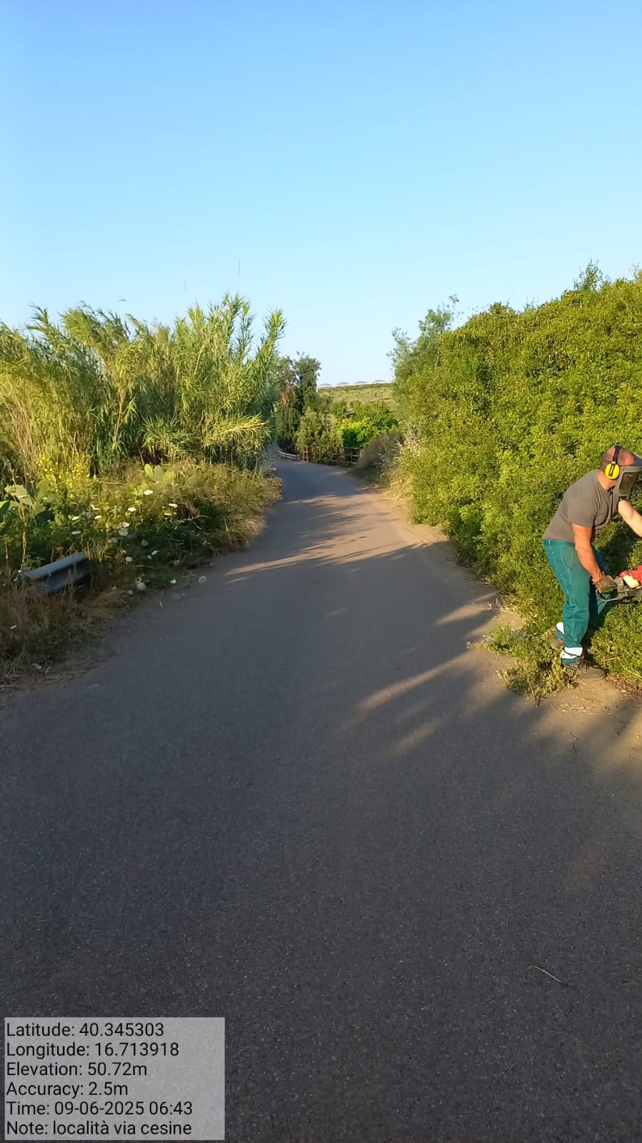 Galleria Fotografica Immagine