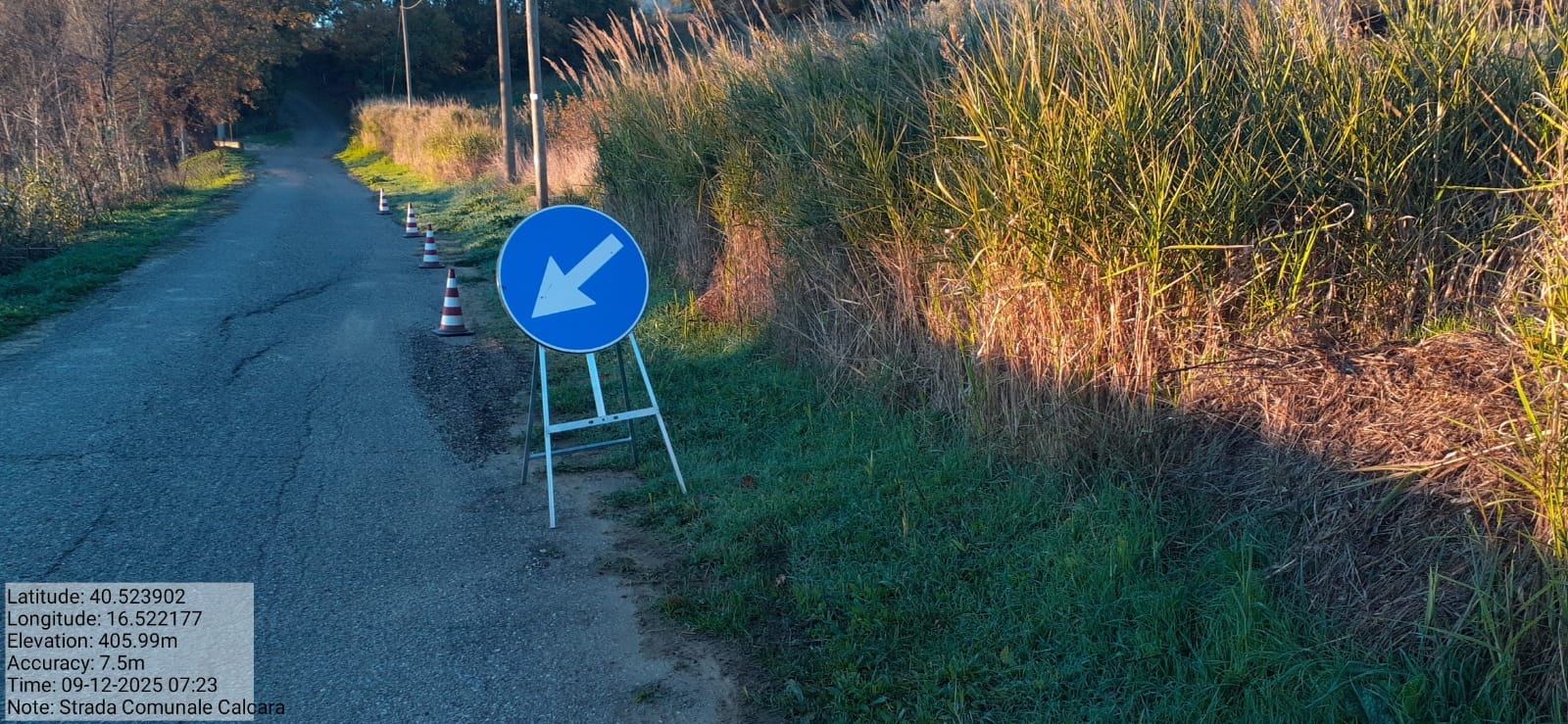 Galleria Fotografica Immagine