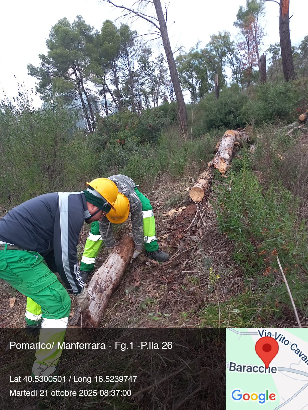 Galleria Fotografica Immagine