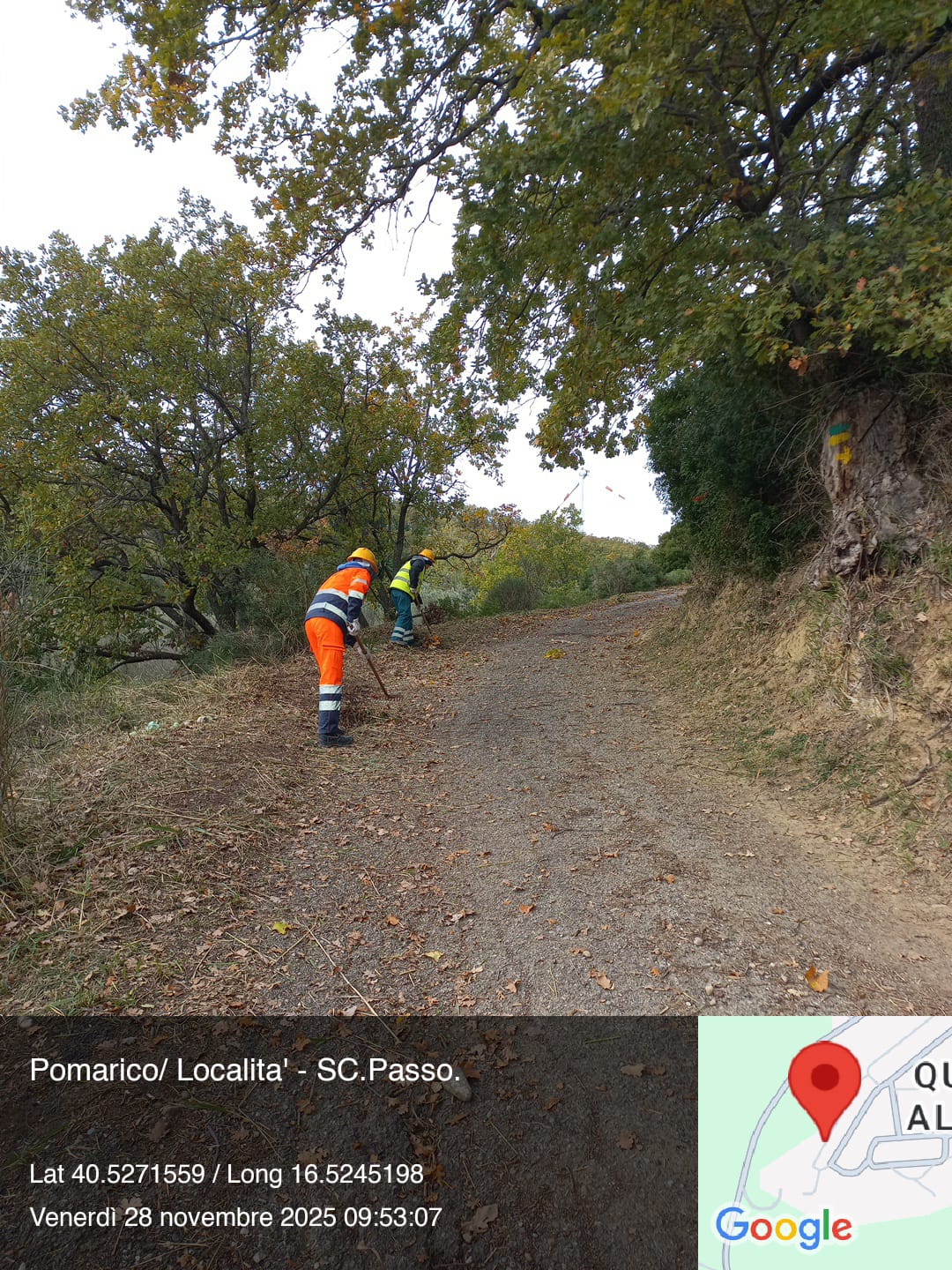 Galleria Fotografica Immagine