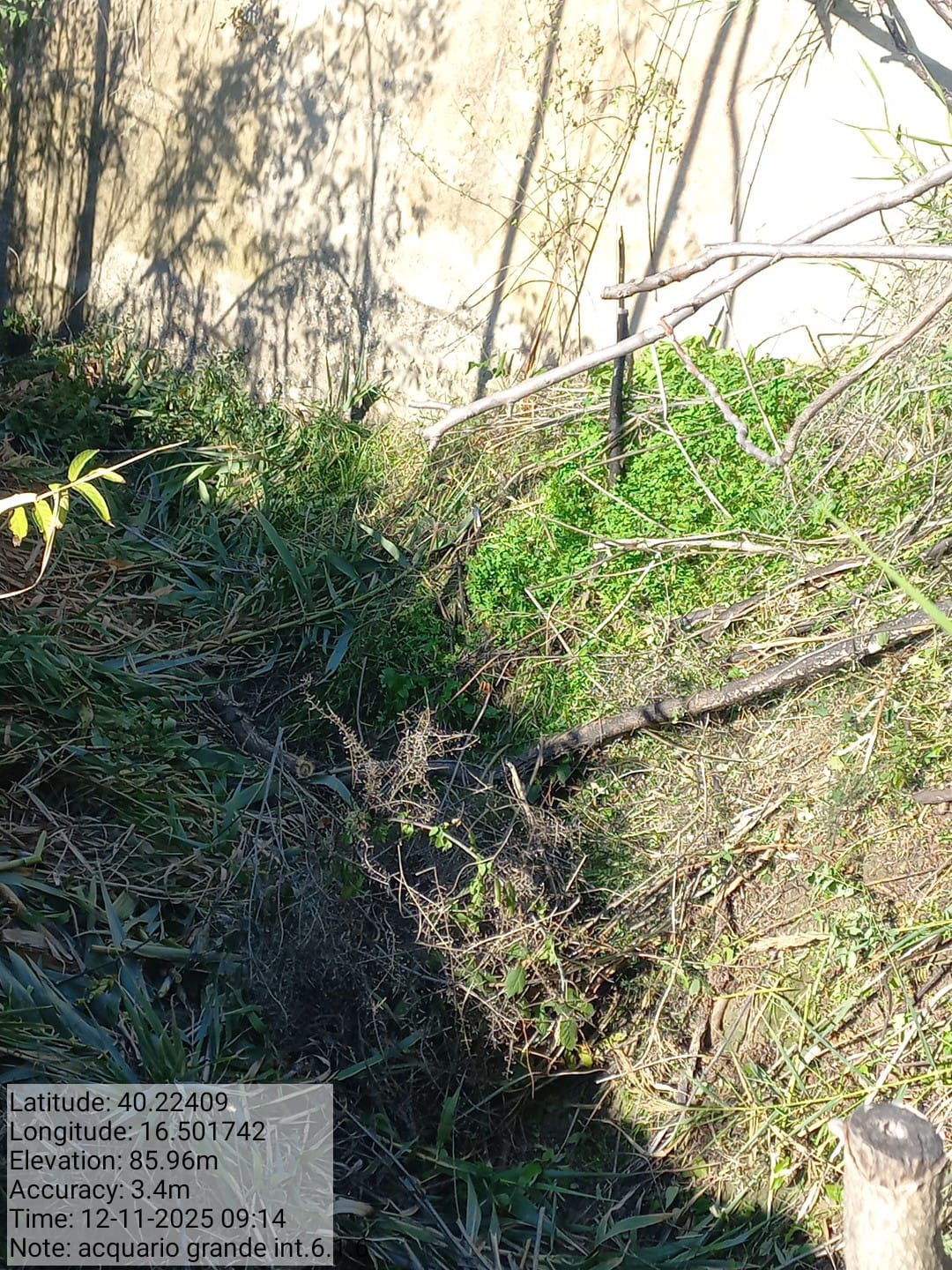 Galleria Fotografica Immagine