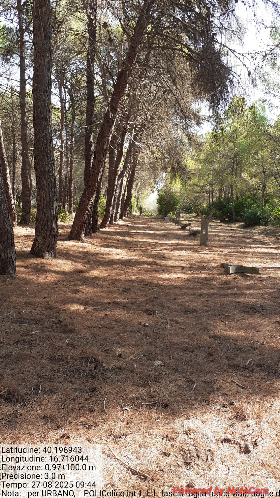 Galleria Fotografica Immagine