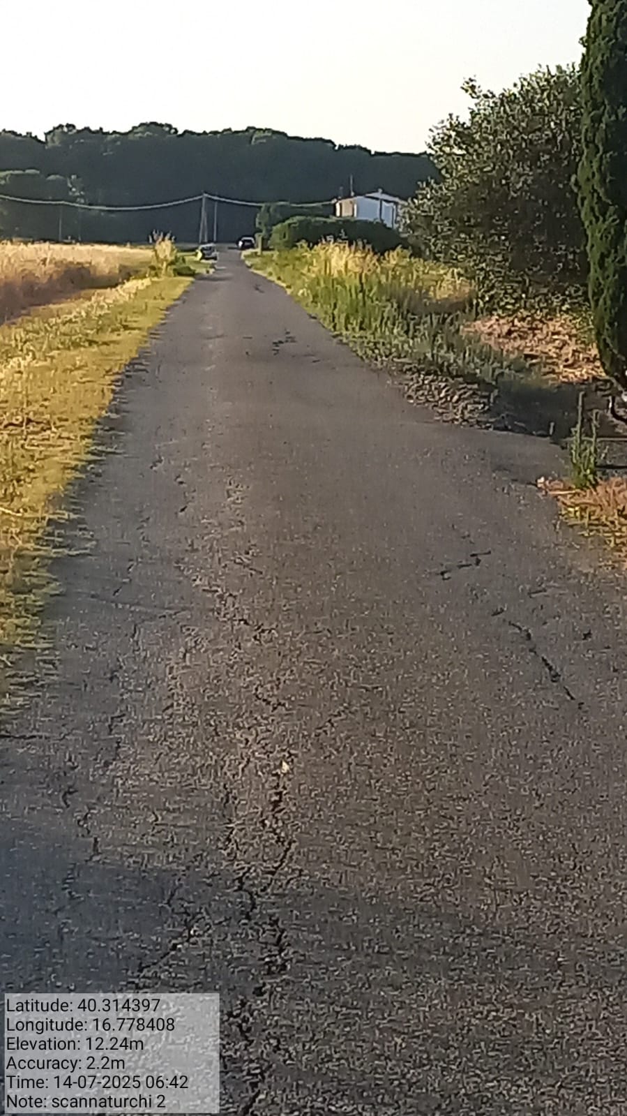 Galleria Fotografica Immagine