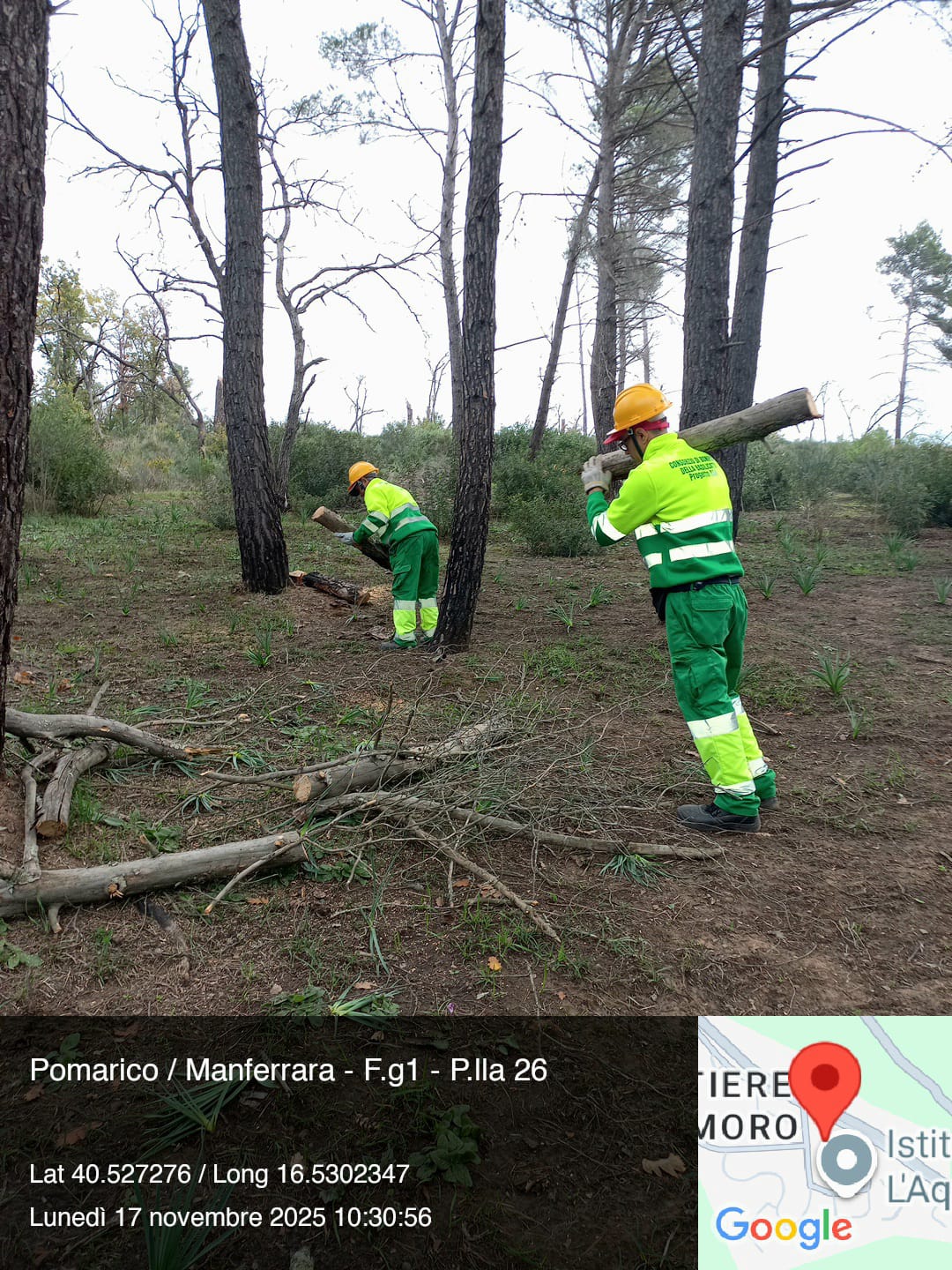 Galleria Fotografica Immagine