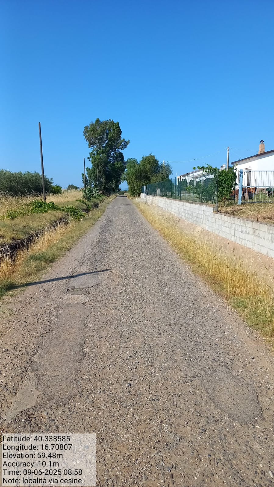 Galleria Fotografica Immagine