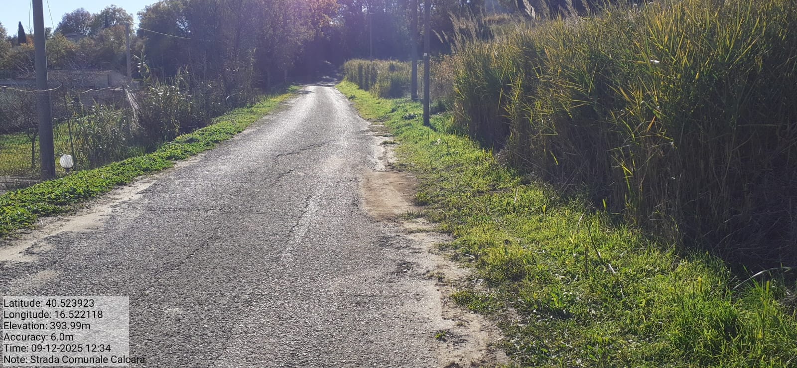 Galleria Fotografica Immagine