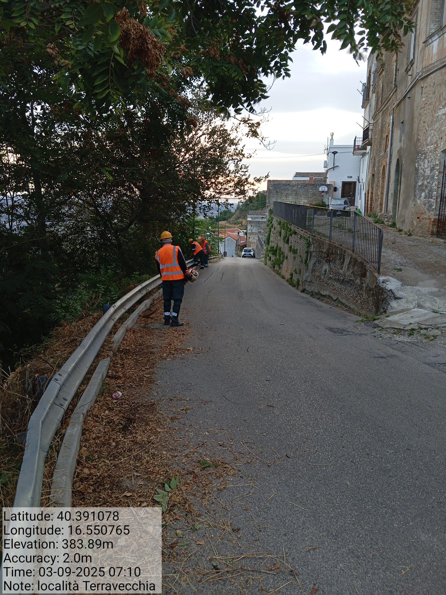 Galleria Fotografica Immagine