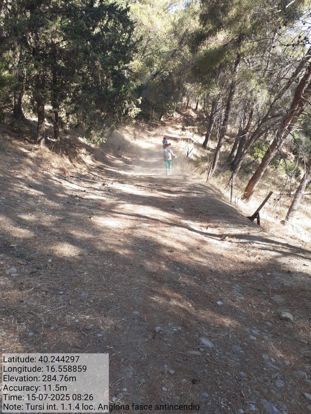 Galleria Fotografica Immagine