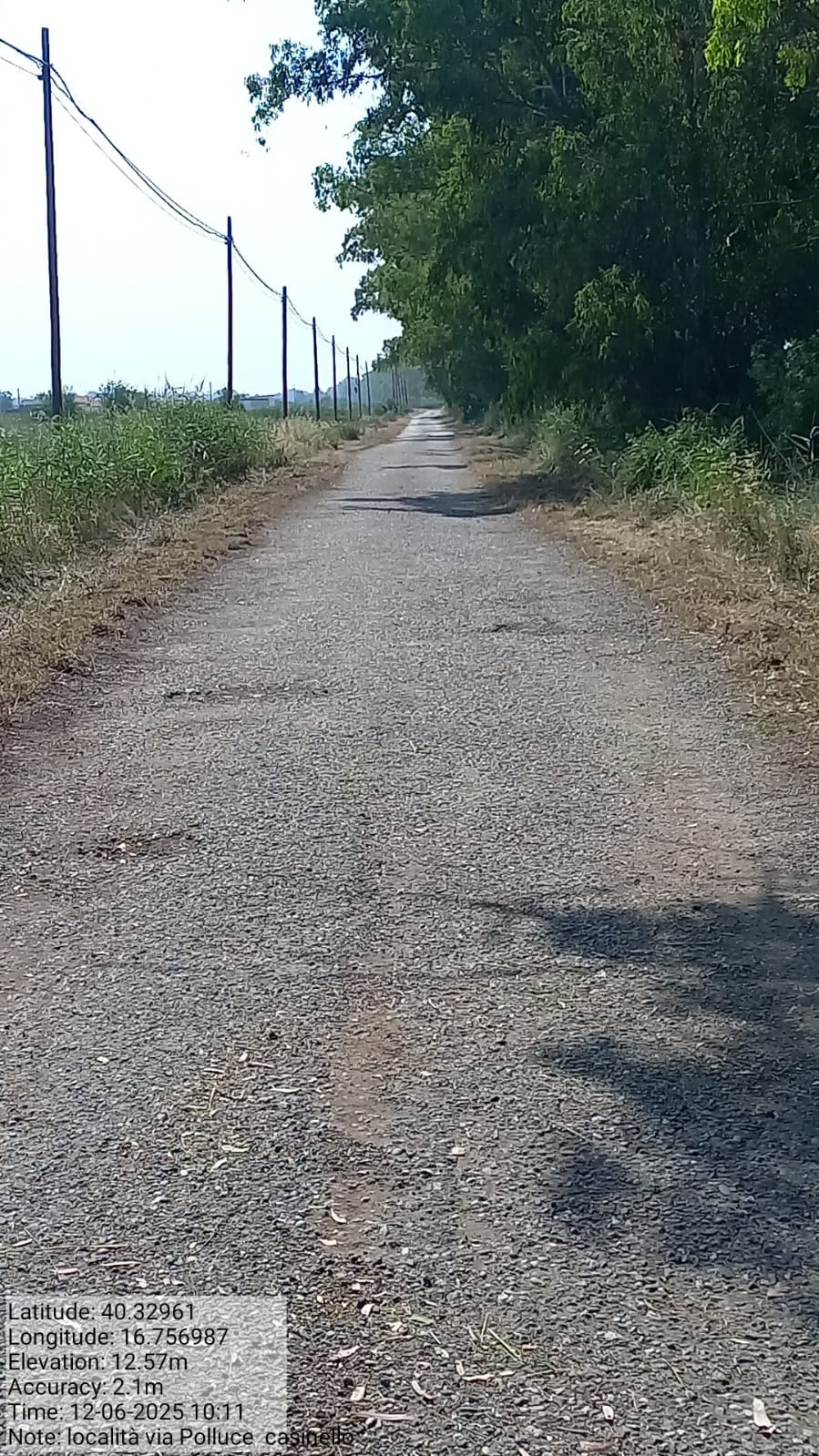 Galleria Fotografica Immagine