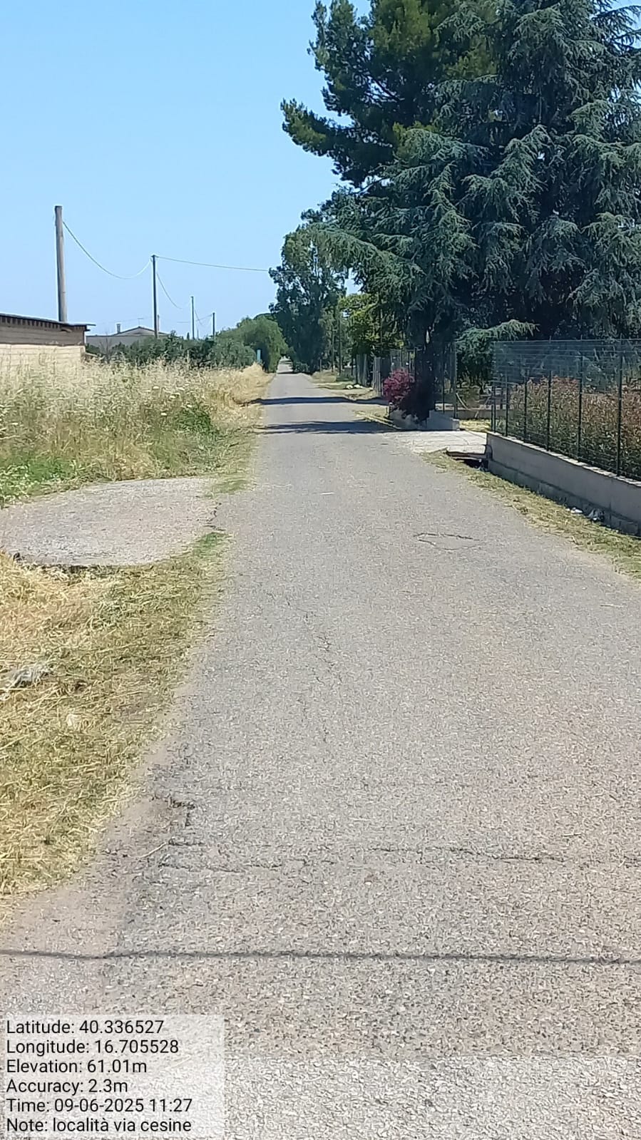 Galleria Fotografica Immagine