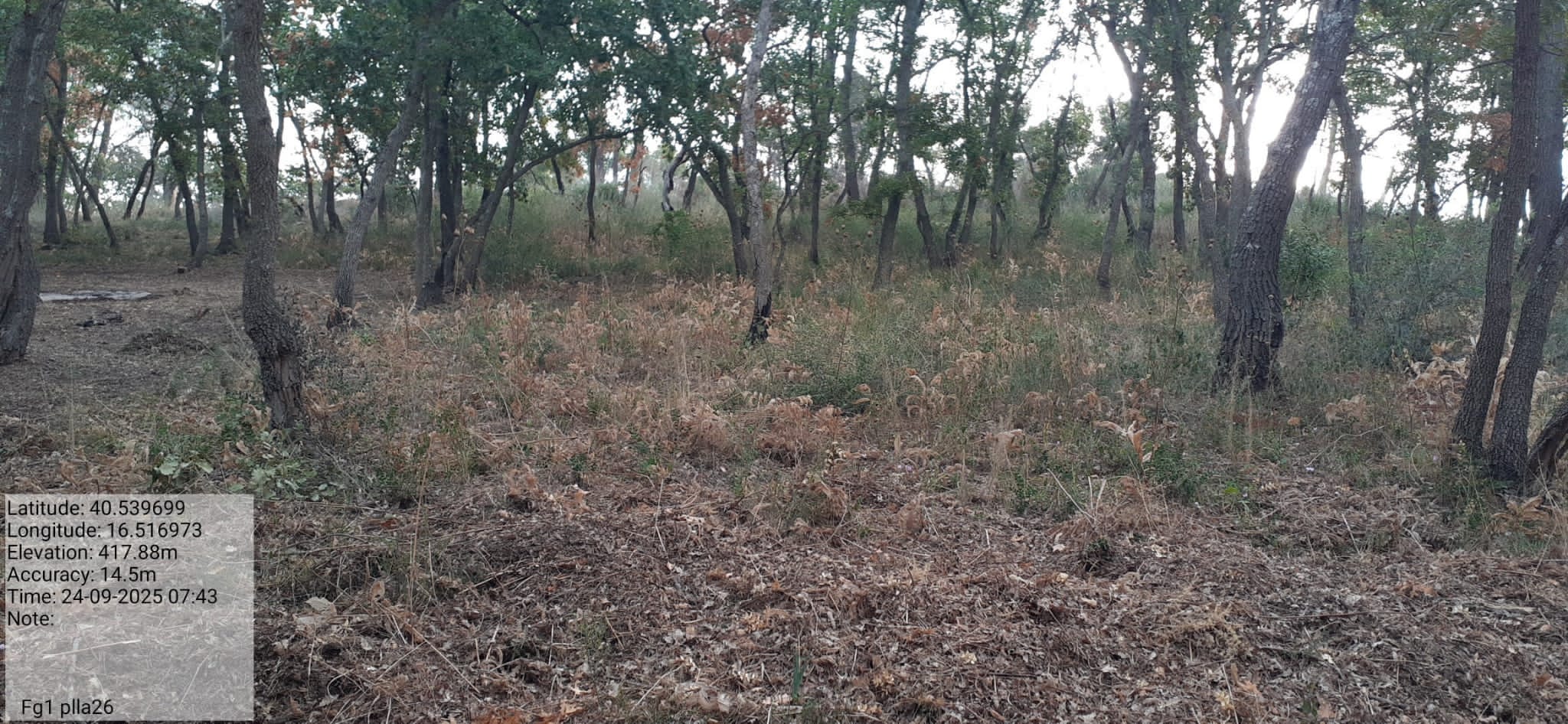 Galleria Fotografica Immagine