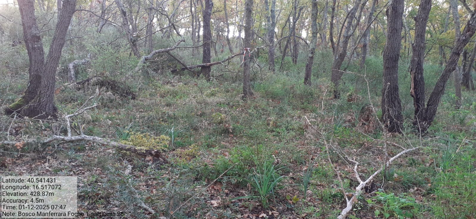 Galleria Fotografica Immagine