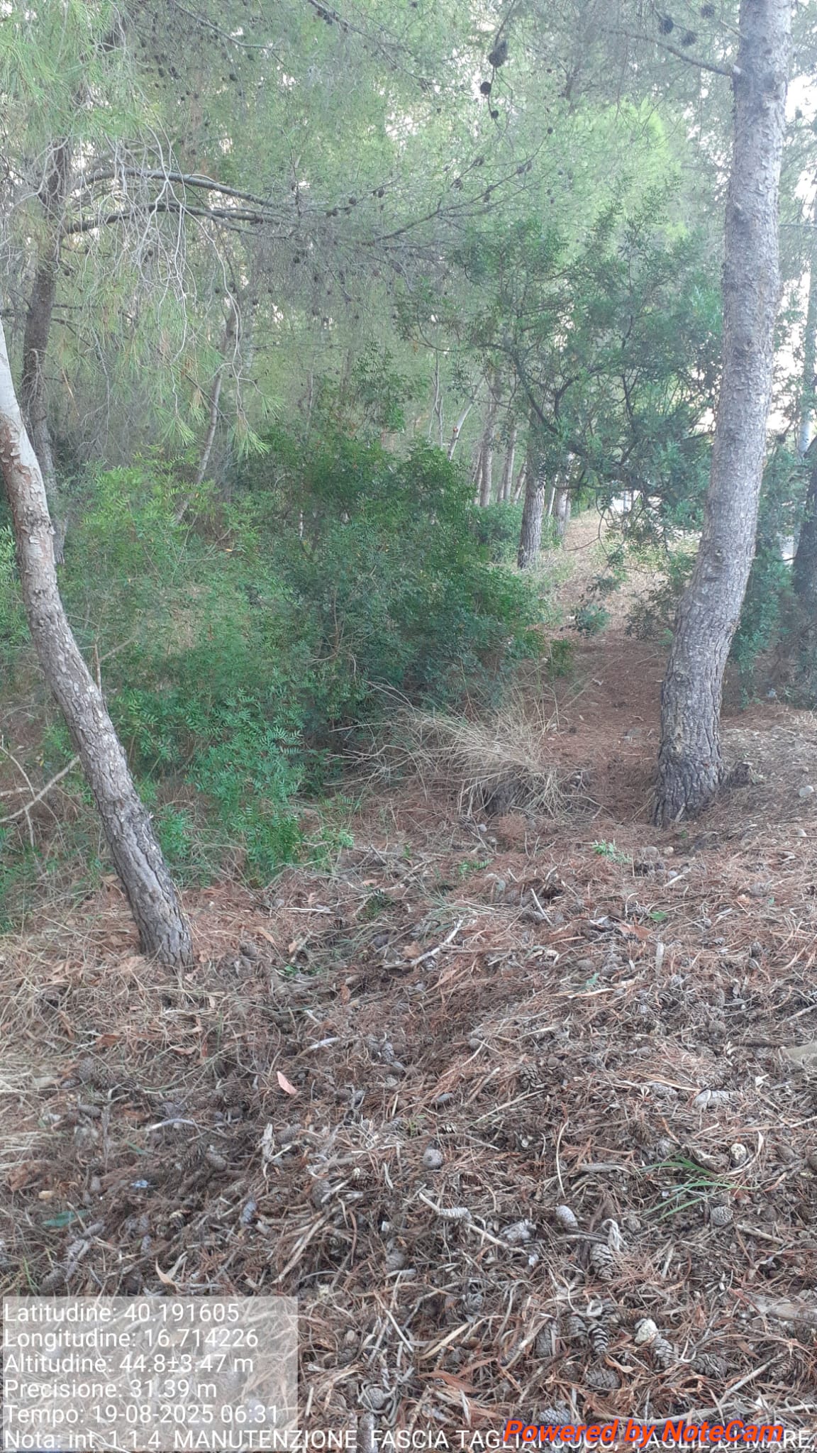 Galleria Fotografica Immagine