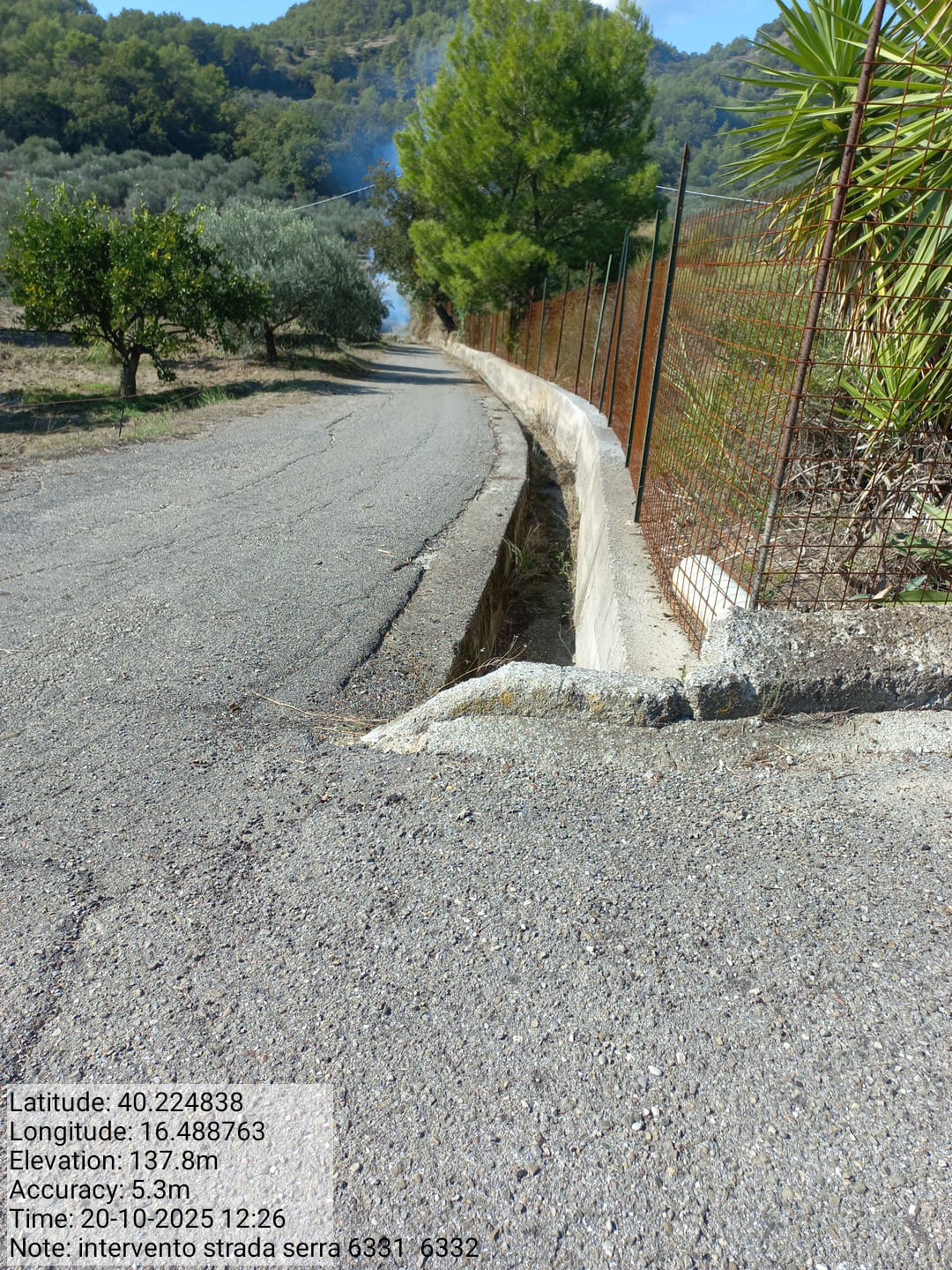 Galleria Fotografica Immagine