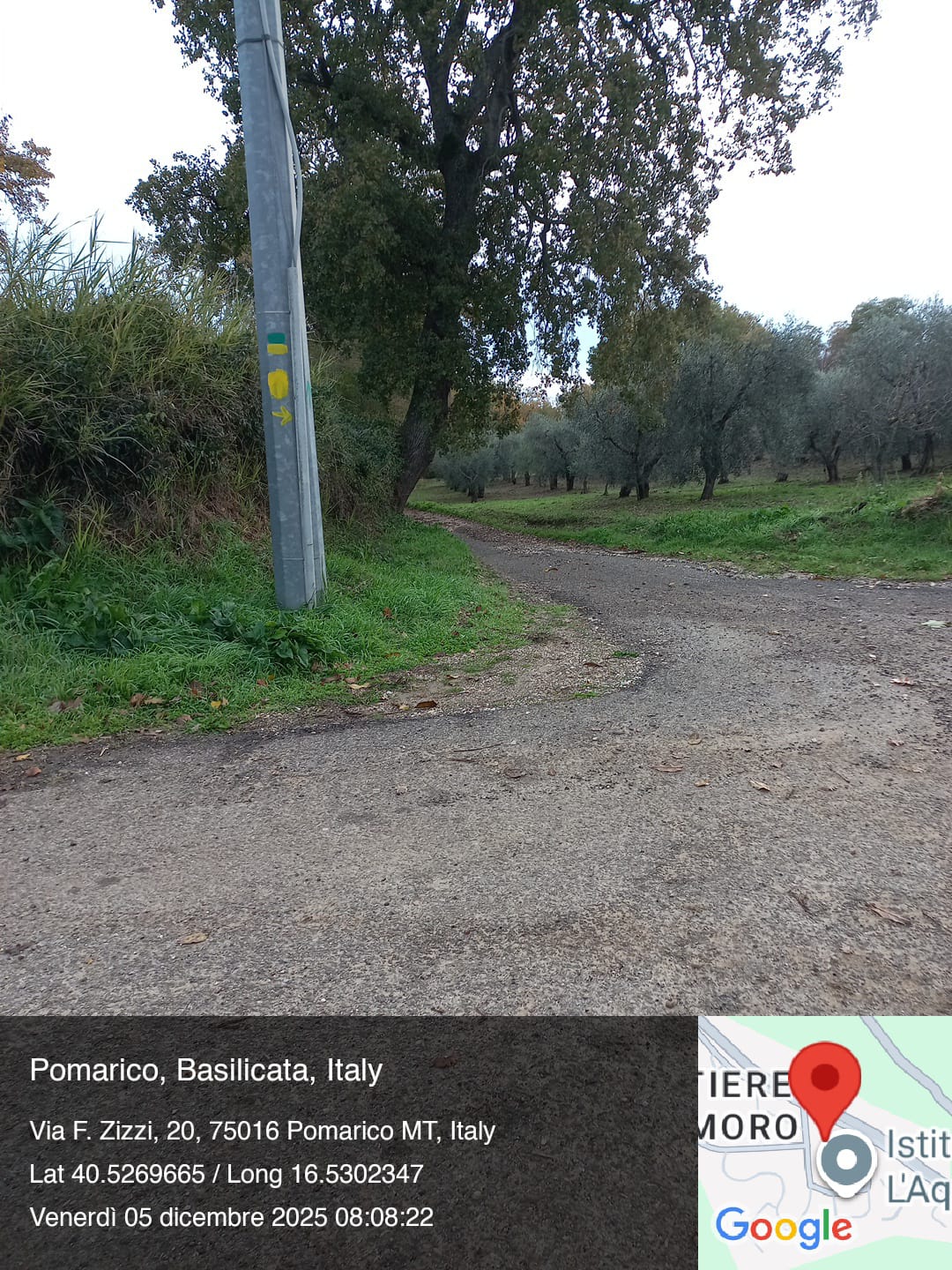 Galleria Fotografica Immagine