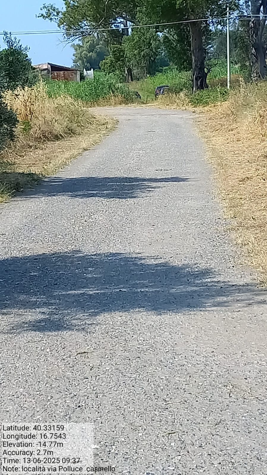 Galleria Fotografica Immagine