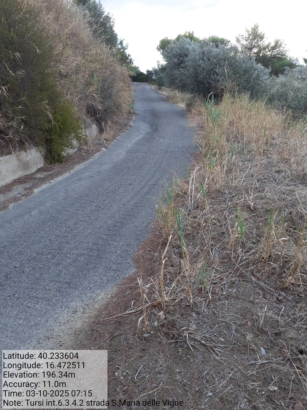 Galleria Fotografica Immagine