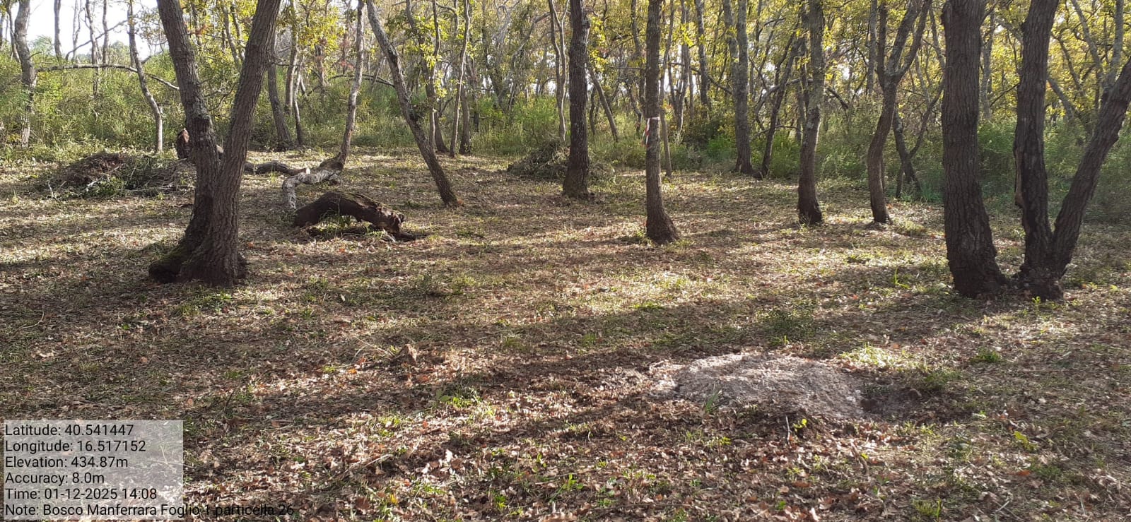 Galleria Fotografica Immagine