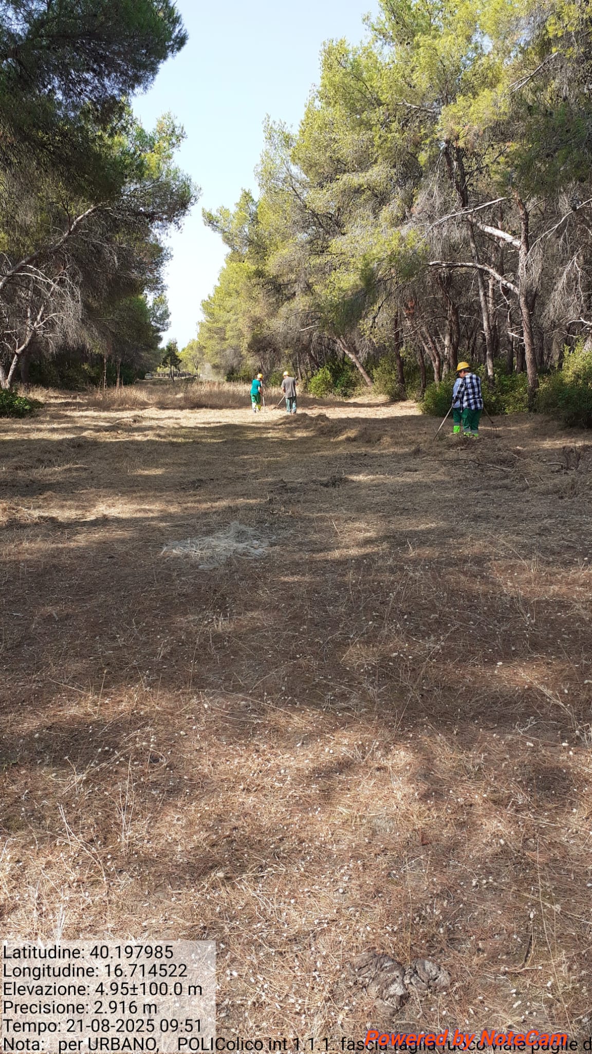 Galleria Fotografica Immagine