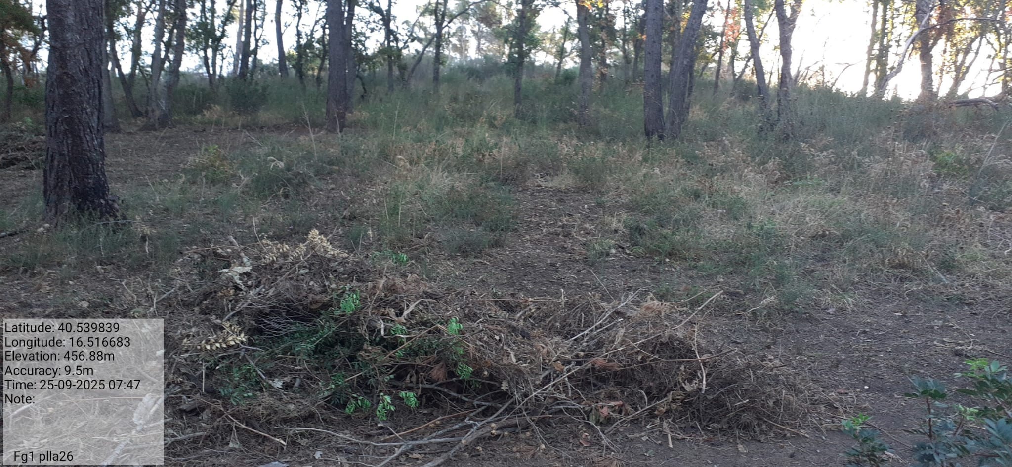 Galleria Fotografica Immagine