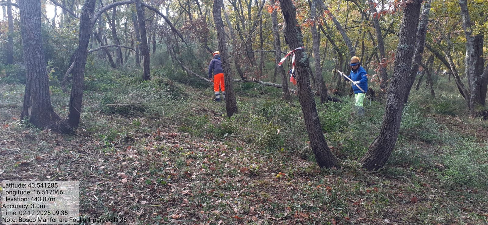 Galleria Fotografica Immagine