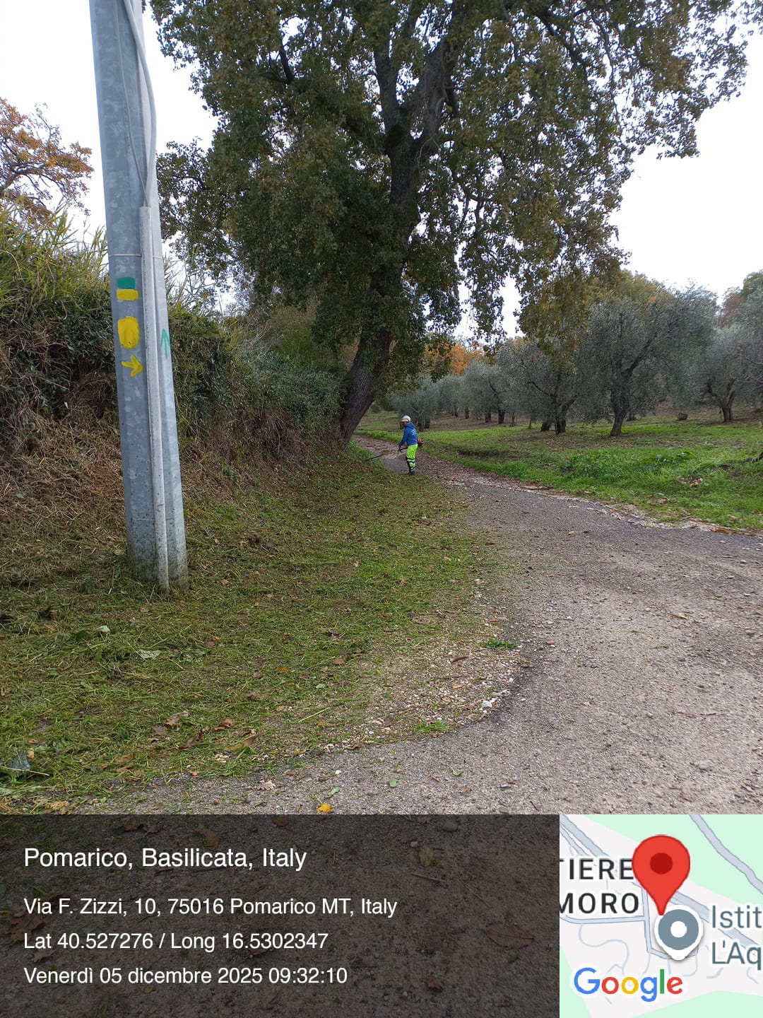 Galleria Fotografica Immagine