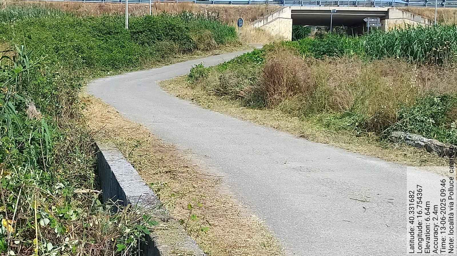 Galleria Fotografica Immagine