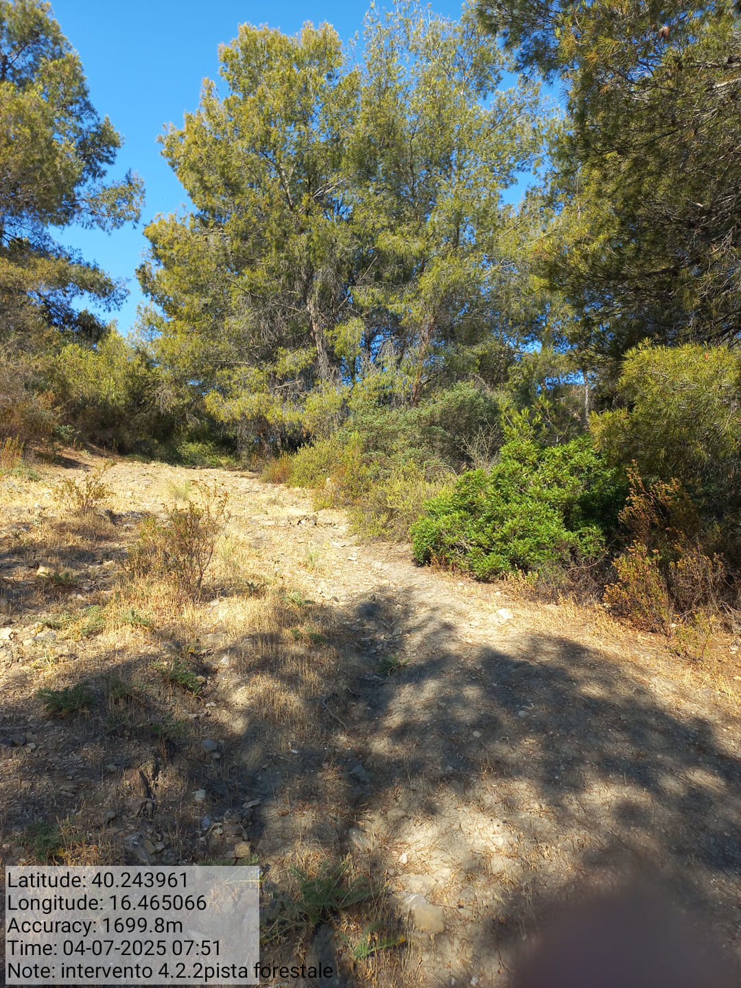 Galleria Fotografica Immagine