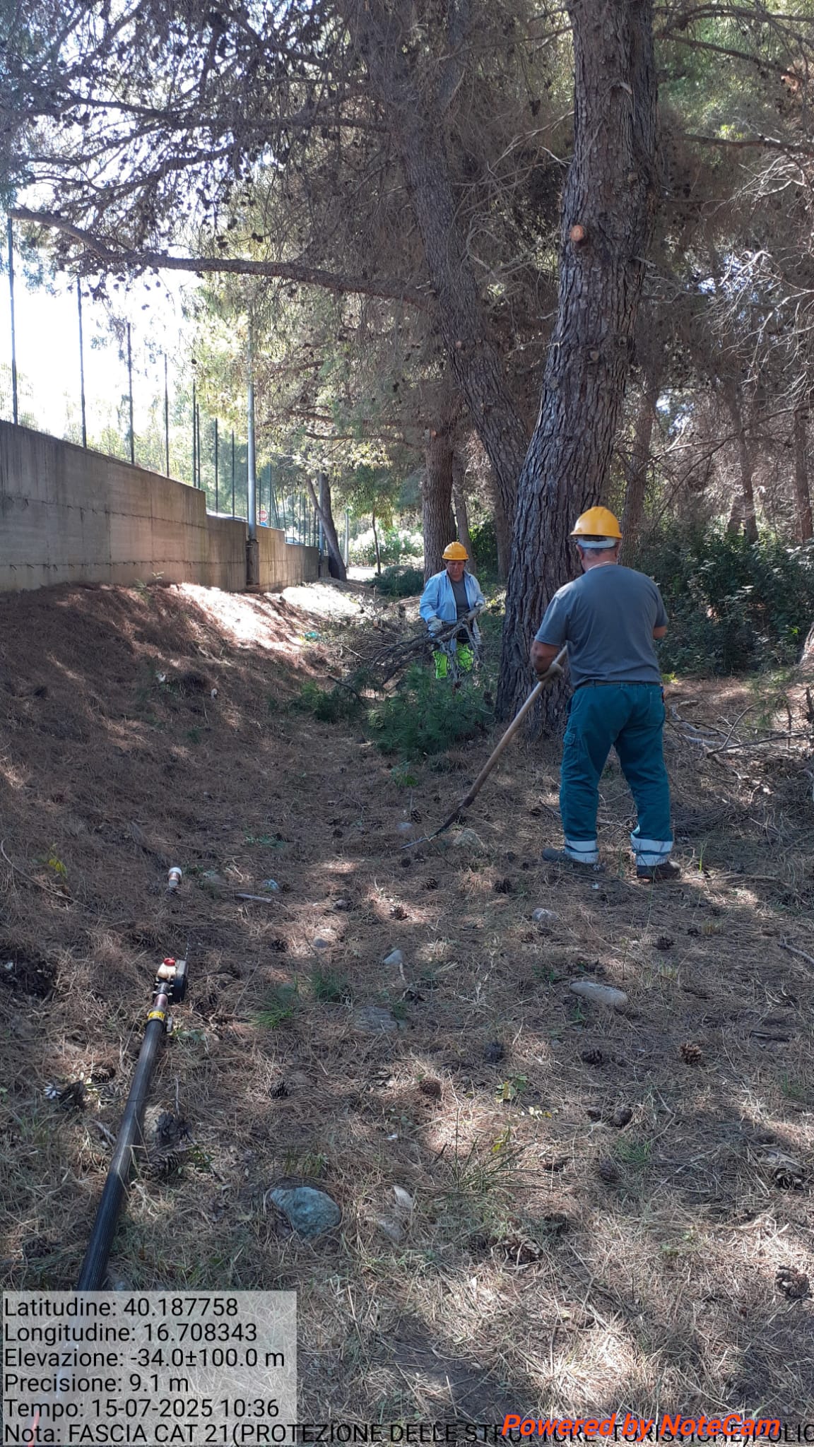 Galleria Fotografica Immagine