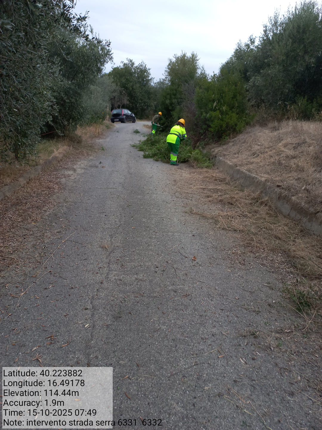 Galleria Fotografica Immagine