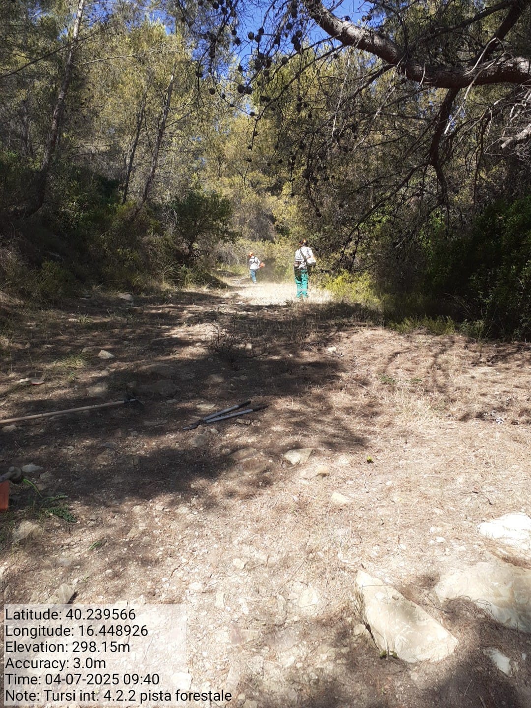 Galleria Fotografica Immagine