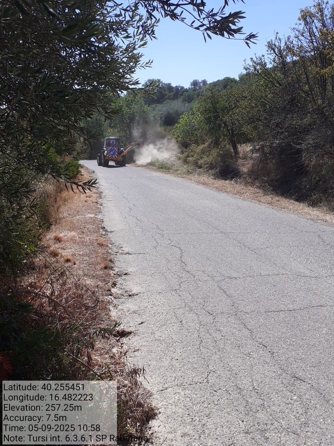 Galleria Fotografica Immagine