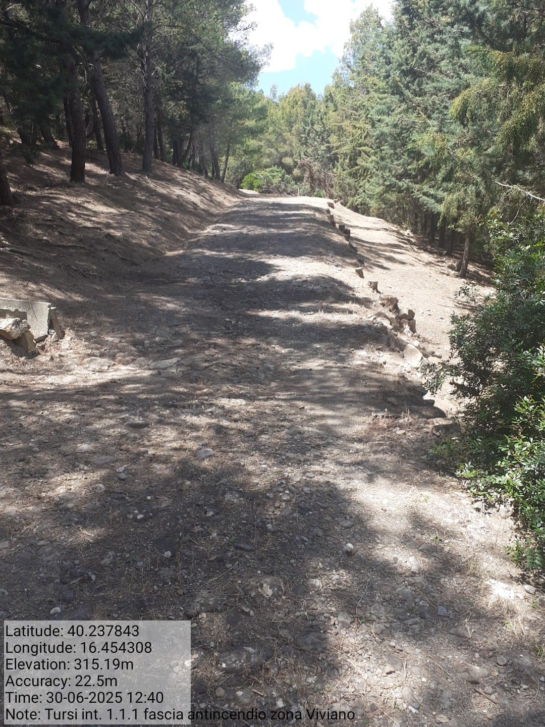 Galleria Fotografica Immagine