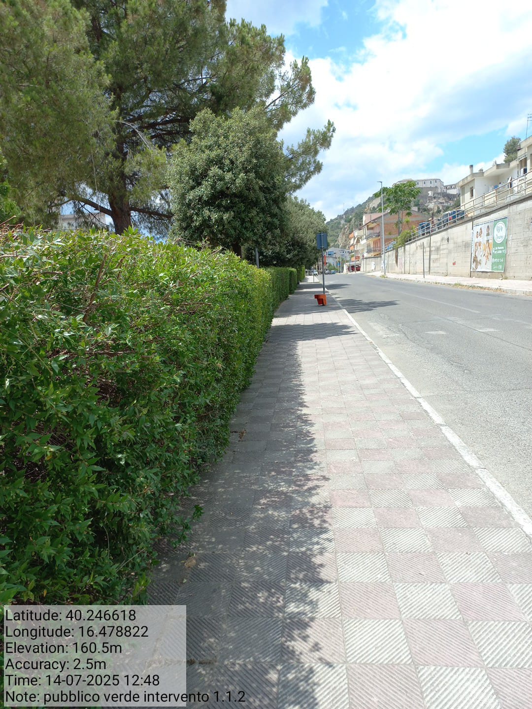 Galleria Fotografica Immagine