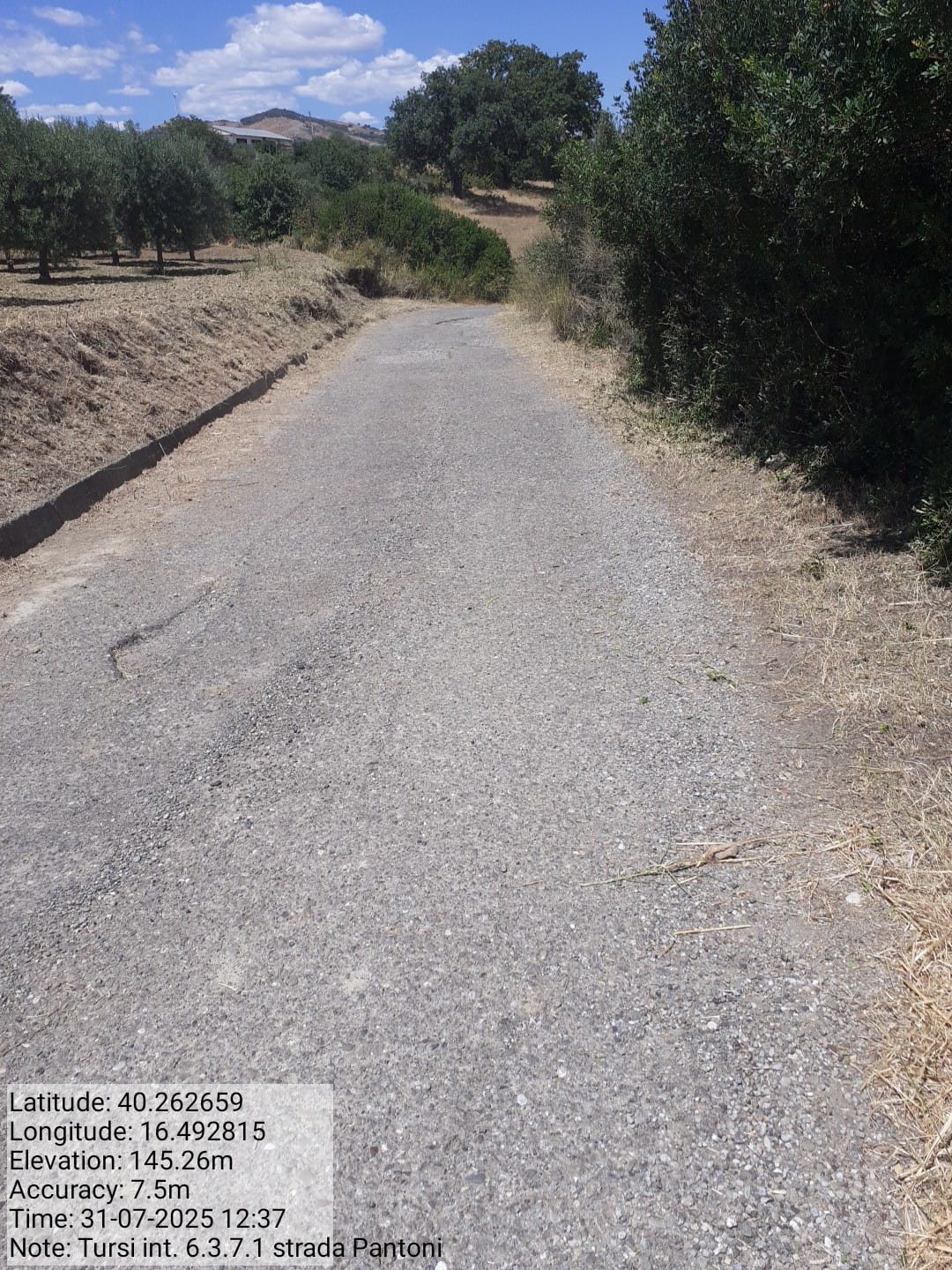 Galleria Fotografica Immagine