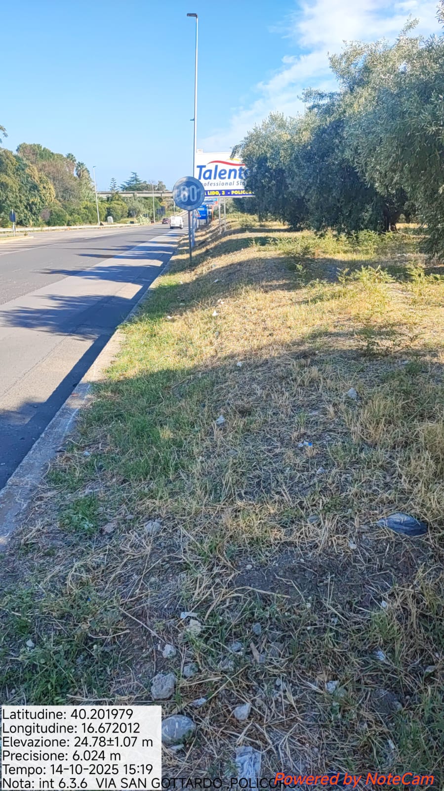 Galleria Fotografica Immagine