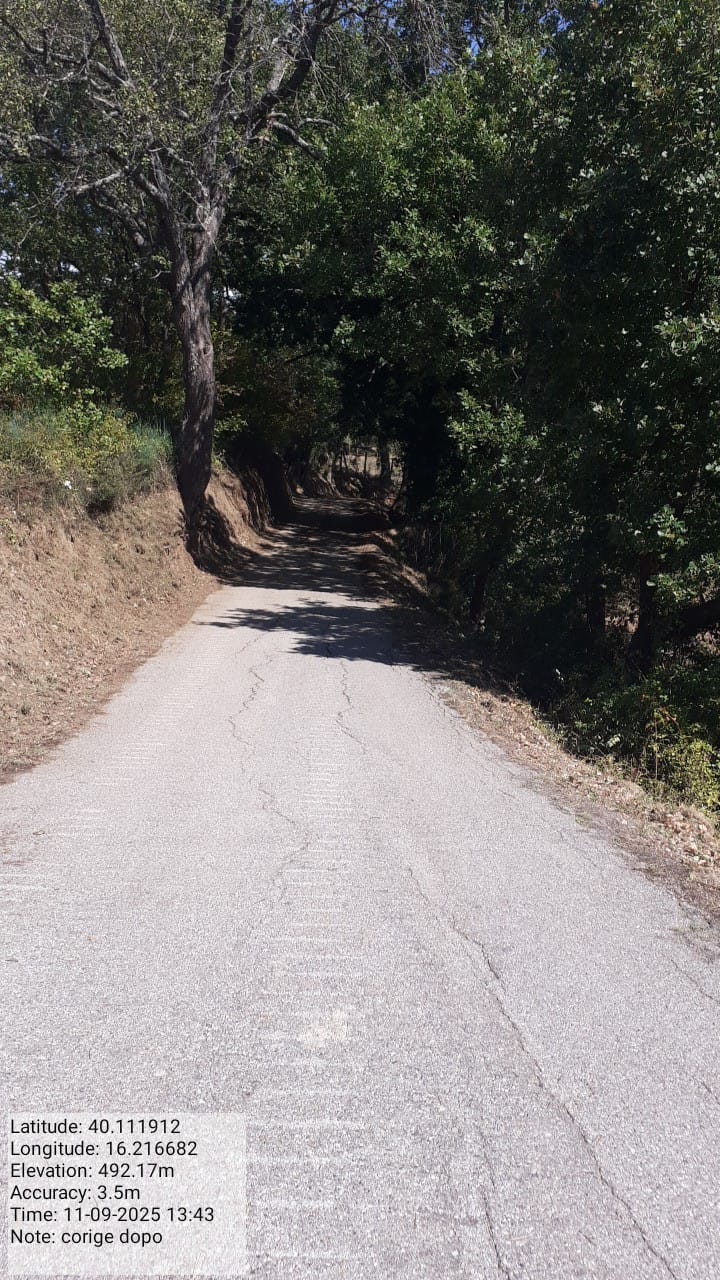 Galleria Fotografica Immagine