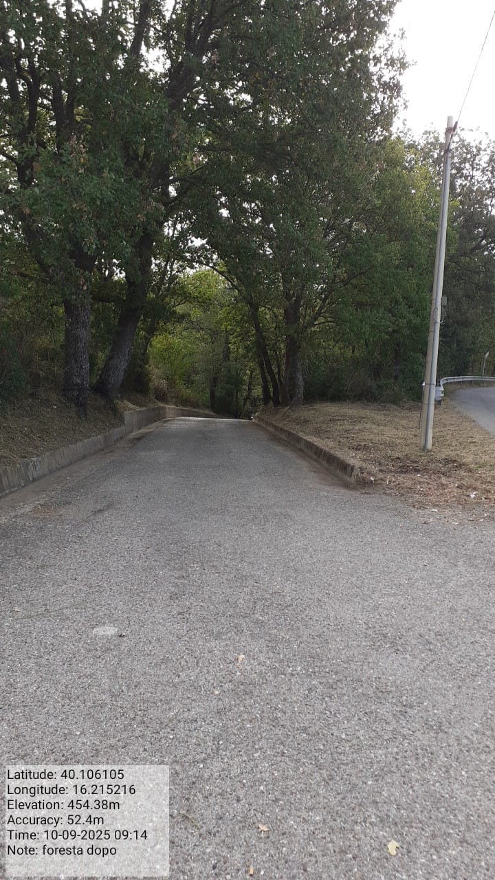 Galleria Fotografica Immagine