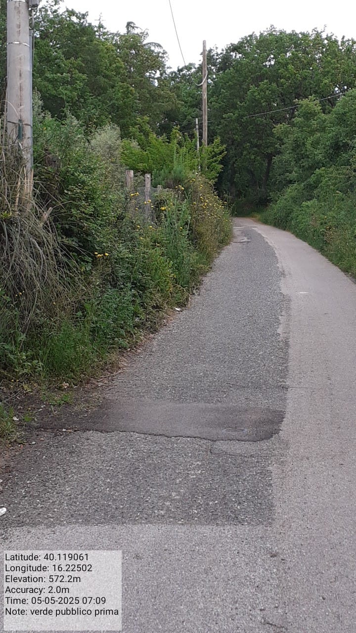 Galleria Fotografica Immagine