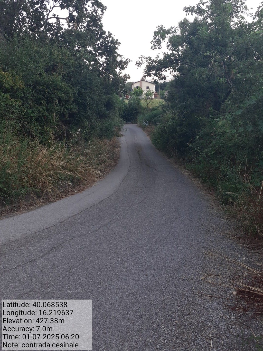 Galleria Fotografica Immagine