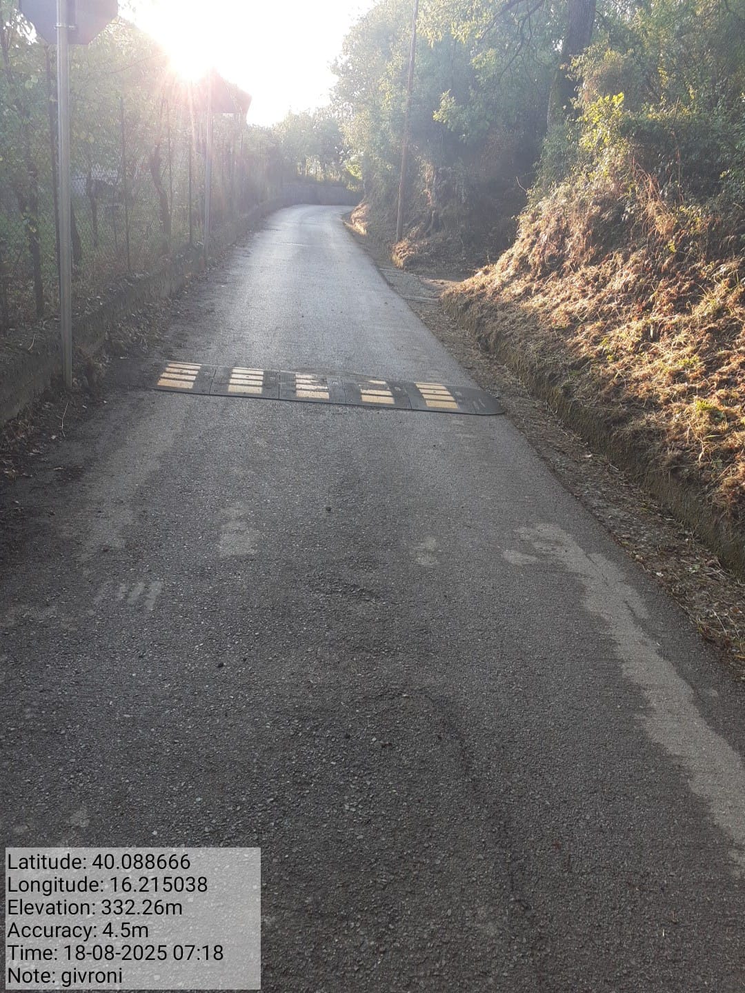 Galleria Fotografica Immagine