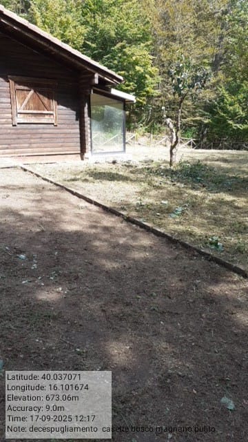 Galleria Fotografica Immagine