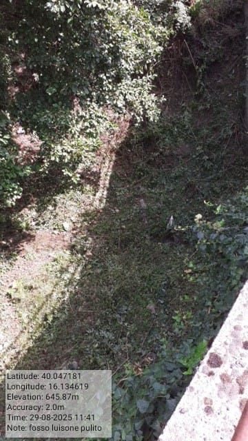 Galleria Fotografica Immagine