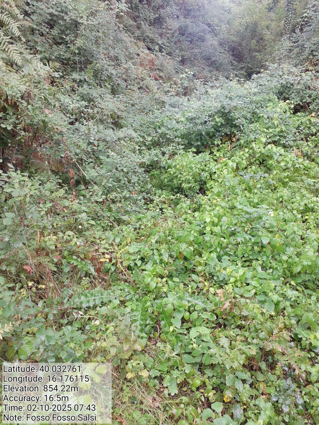 Galleria Fotografica Immagine