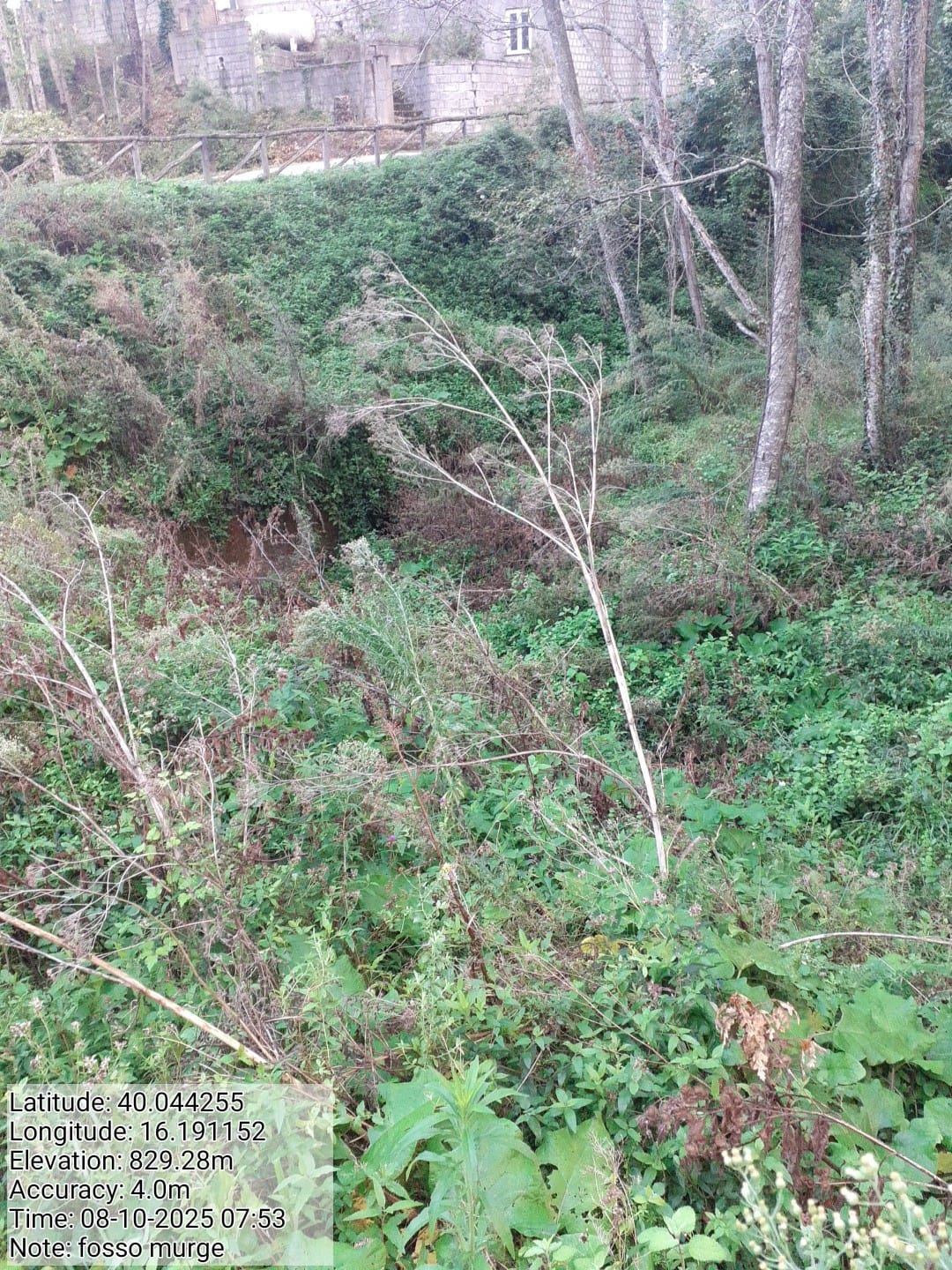 Galleria Fotografica Immagine