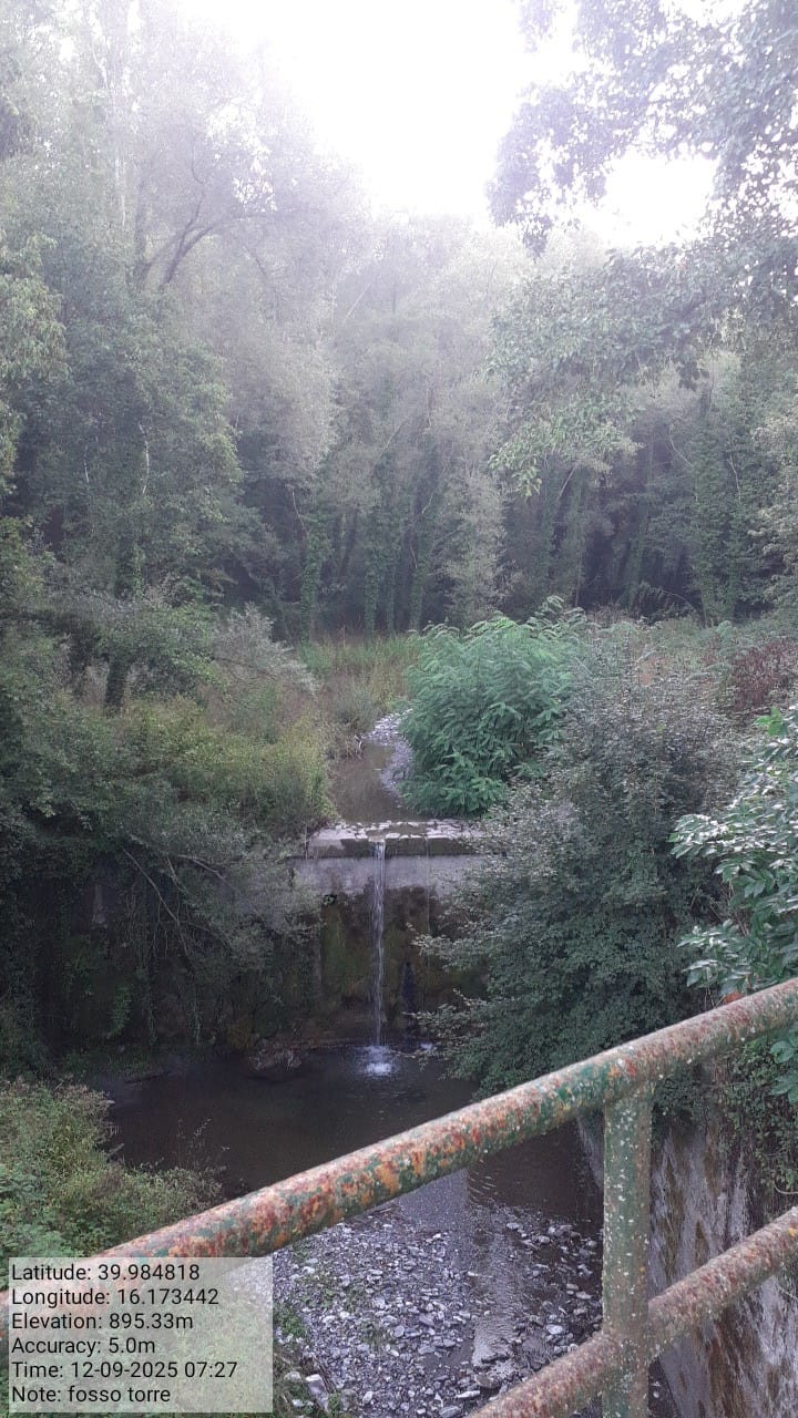 Galleria Fotografica Immagine