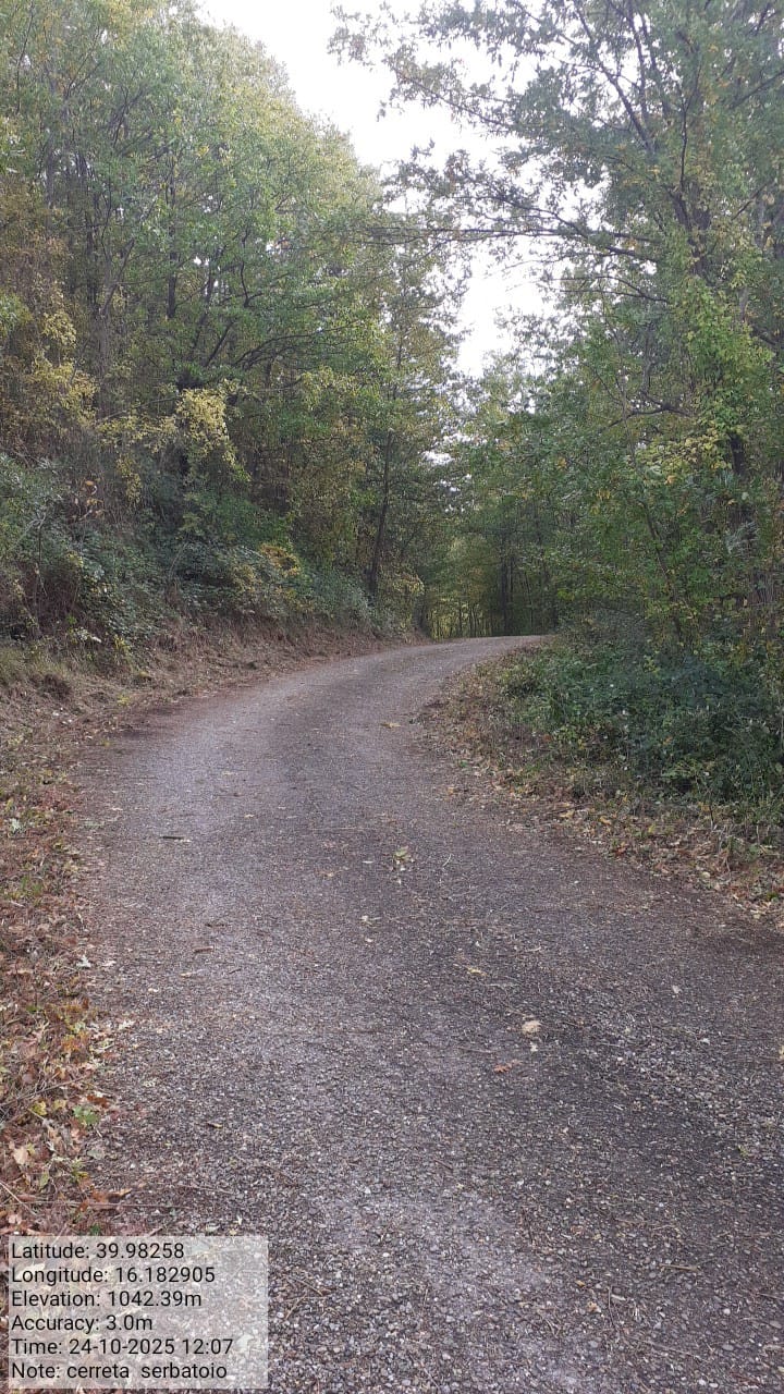 Galleria Fotografica Immagine