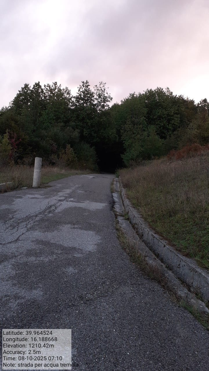 Galleria Fotografica Immagine